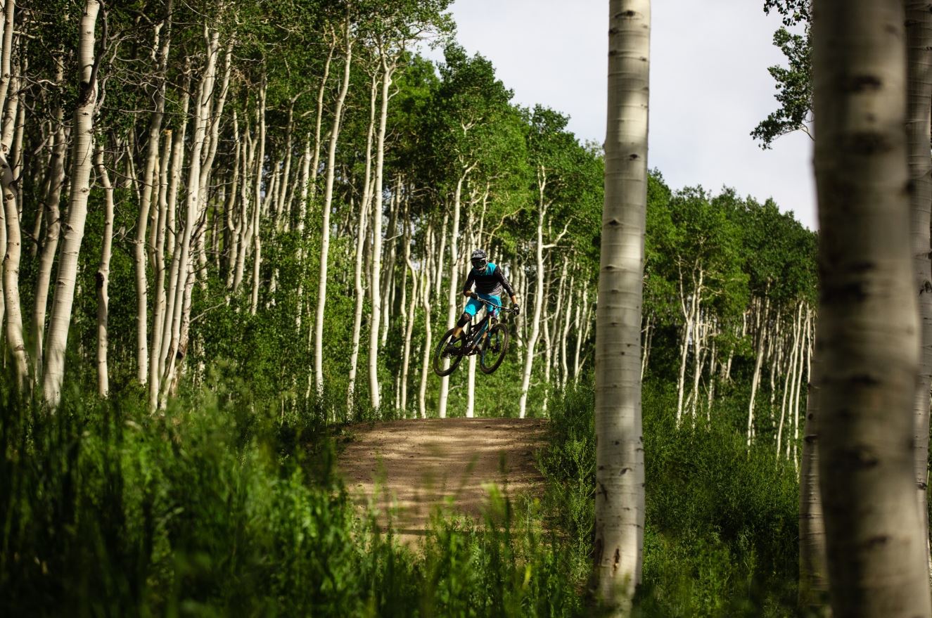 One Mountain Biker jump with lots of green trees around.